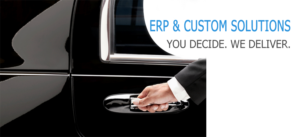 ERP & customsolution
